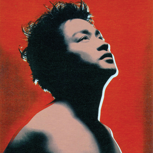 黃色毛片A片免费高潮
